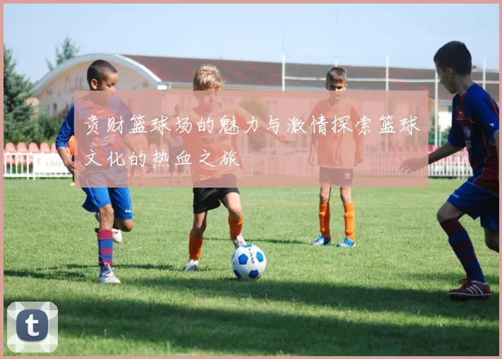 贵财篮球场的魅力与激情探索篮球文化的热血之旅