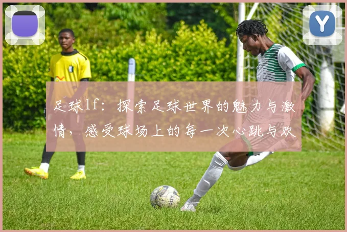 足球lf：探索足球世界的魅力与激情，感受球场上的每一次心跳与欢呼