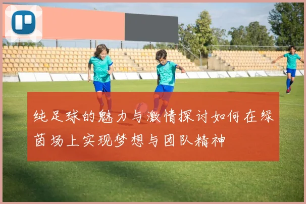 纯足球的魅力与激情探讨如何在绿茵场上实现梦想与团队精神