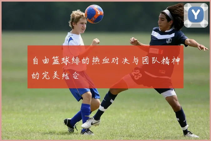 自由篮球绯的热血对决与团队精神的完美结合