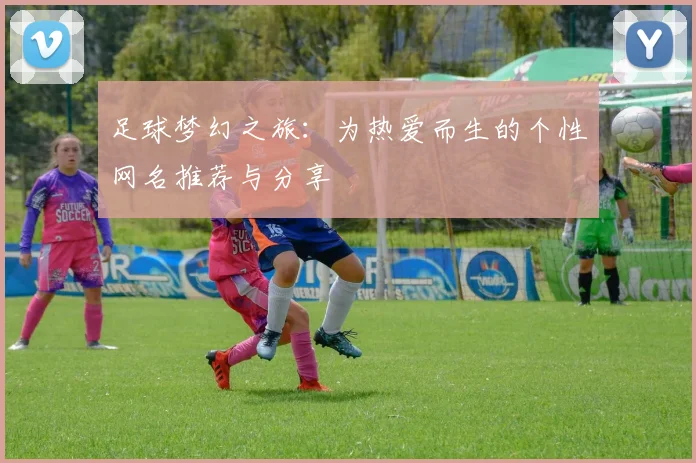 足球梦幻之旅：为热爱而生的个性网名推荐与分享
